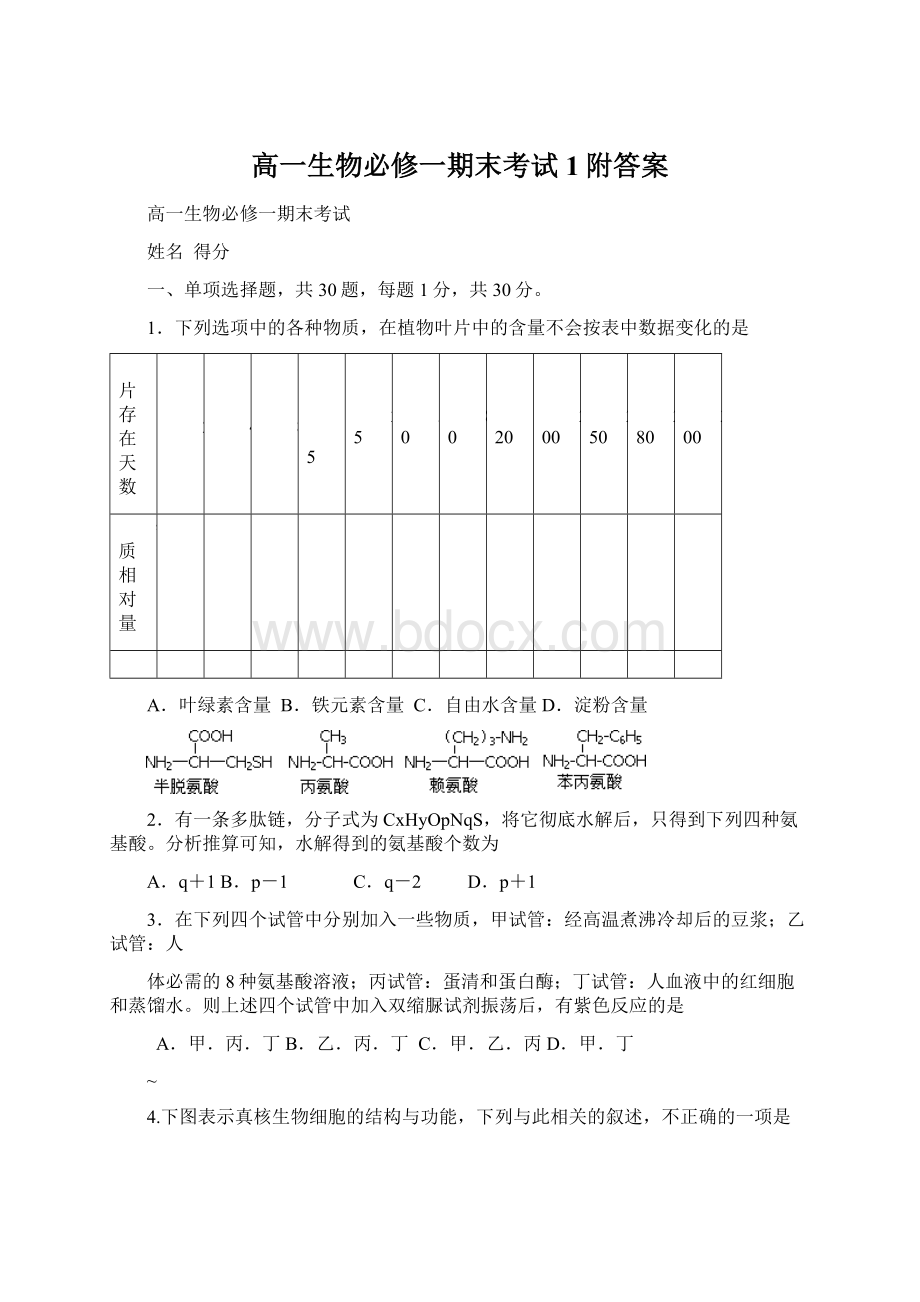 高一生物必修一期末考试1附答案.docx_第1页