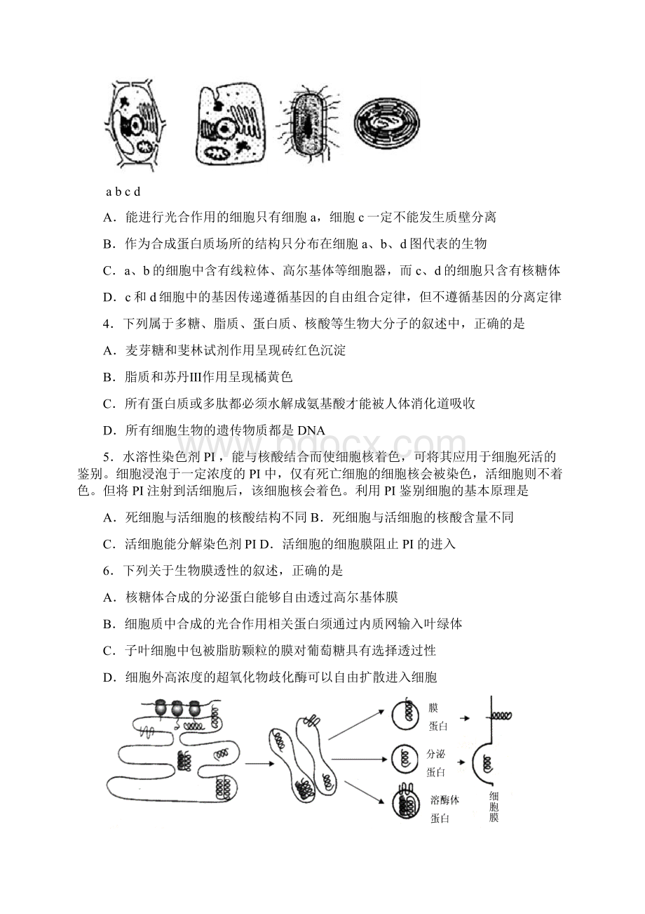 安徽省淮北市濉溪县学年高三上学期第一次月考生物试题 Word版含答案.docx_第2页