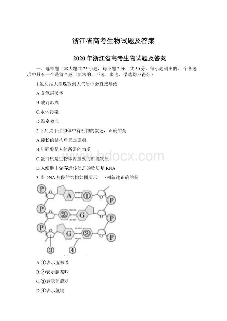浙江省高考生物试题及答案.docx_第1页