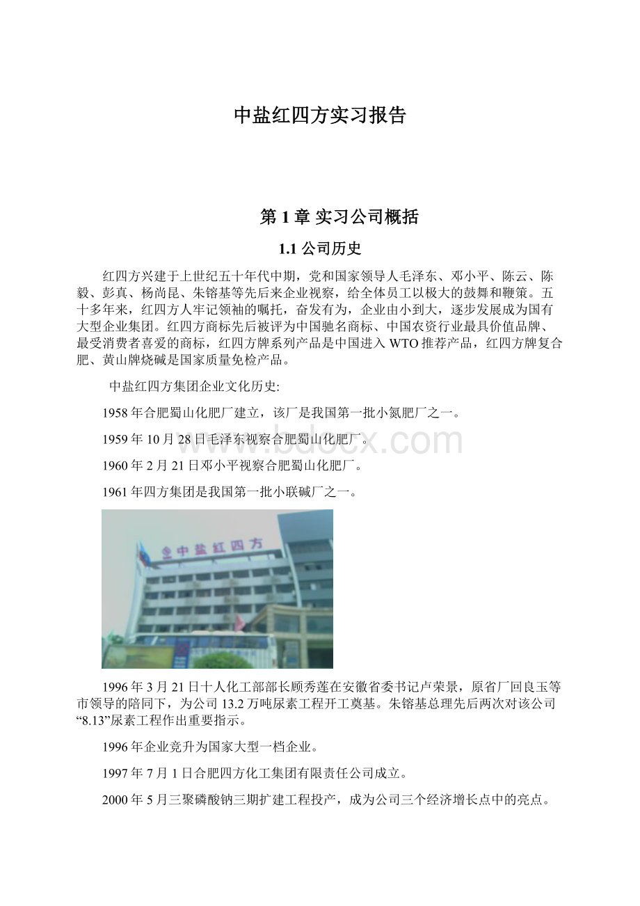 中盐红四方实习报告Word文件下载.docx