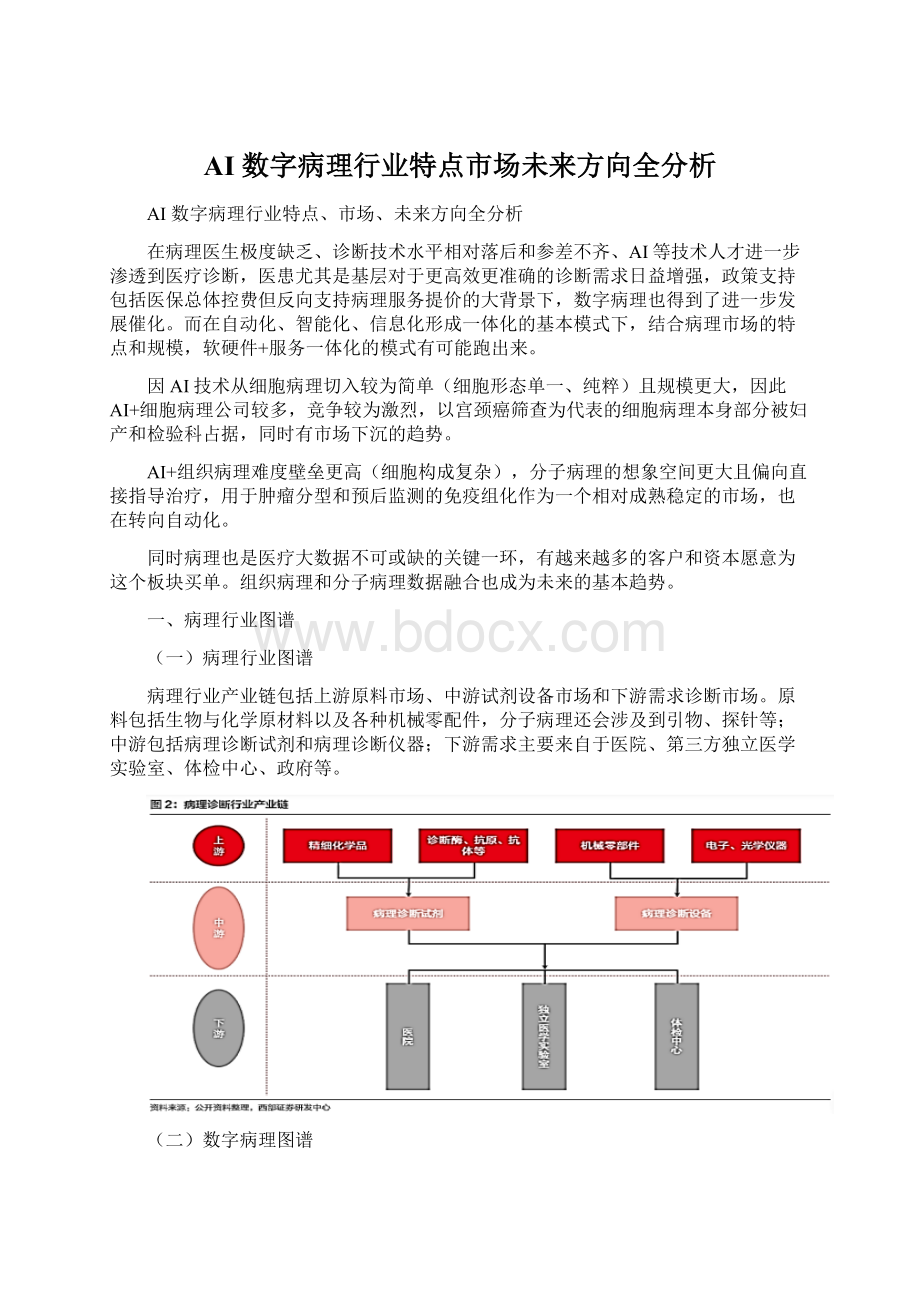 AI 数字病理行业特点市场未来方向全分析Word文档格式.docx