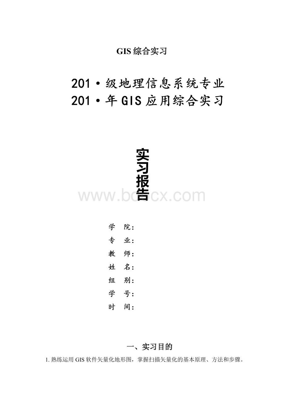 GIS综合实习文档格式.docx