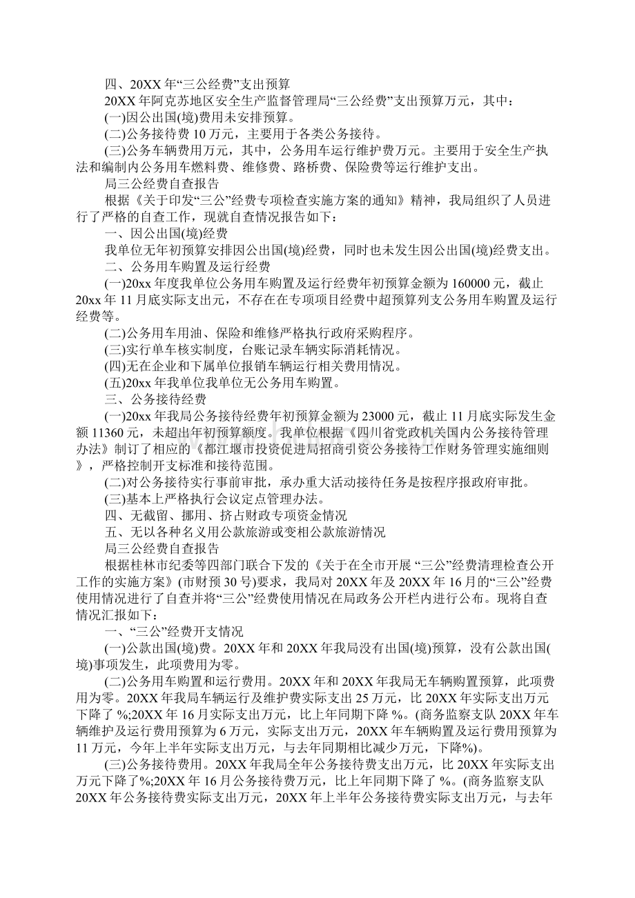 局三公经费自查报告文档格式.docx_第3页