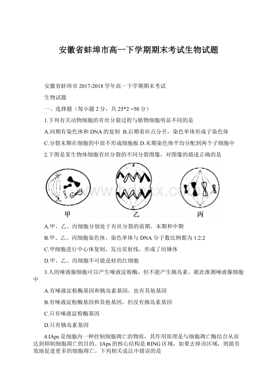 安徽省蚌埠市高一下学期期末考试生物试题Word文档下载推荐.docx