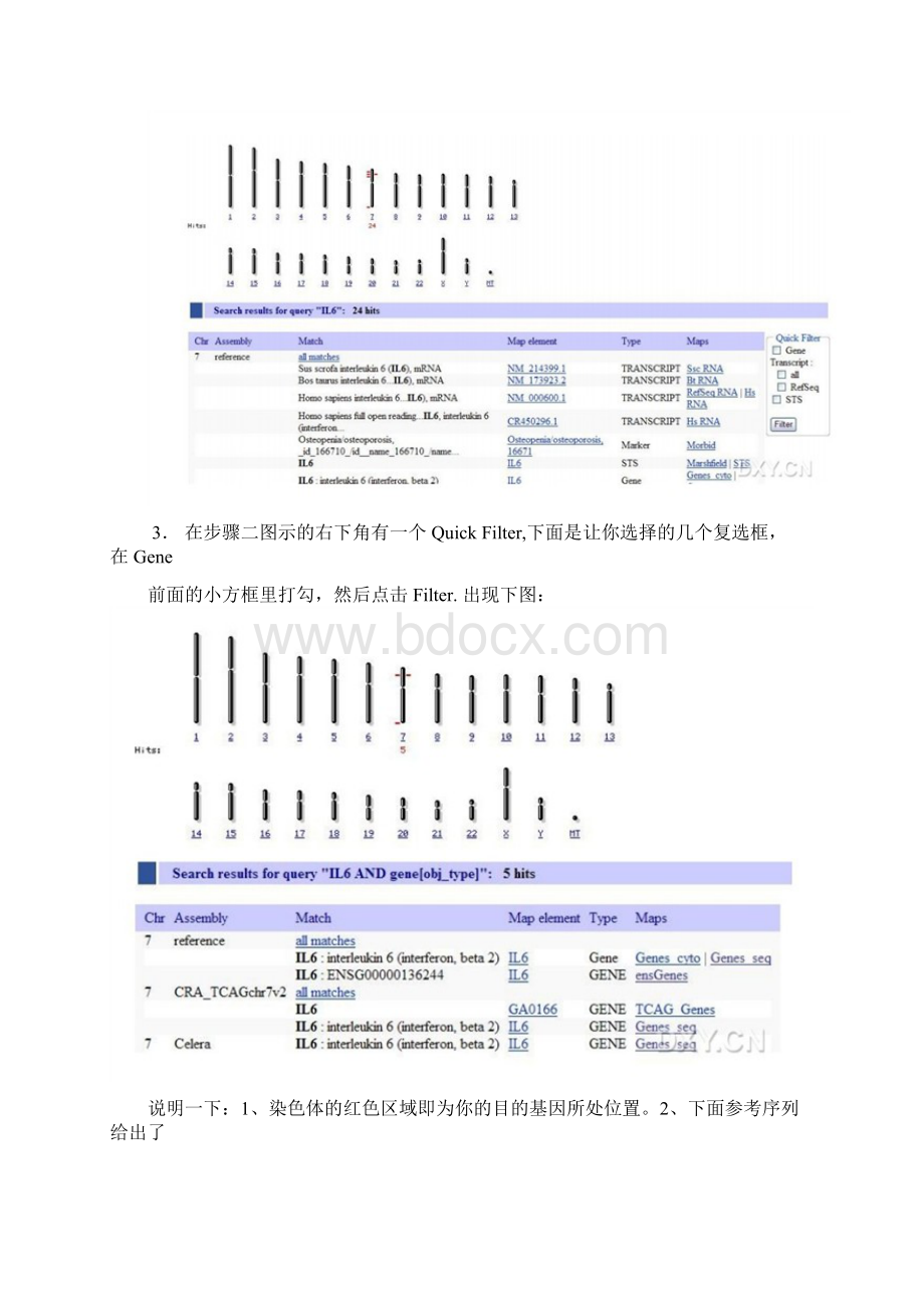 一步一步教你使用NCBI查找DNAmRNAcDNA.docx_第2页