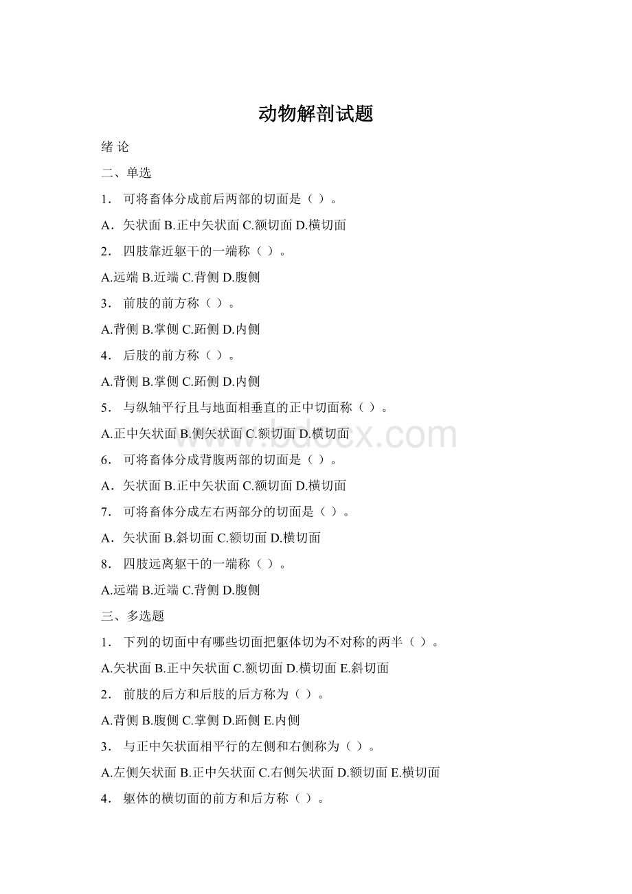 动物解剖试题Word格式文档下载.docx