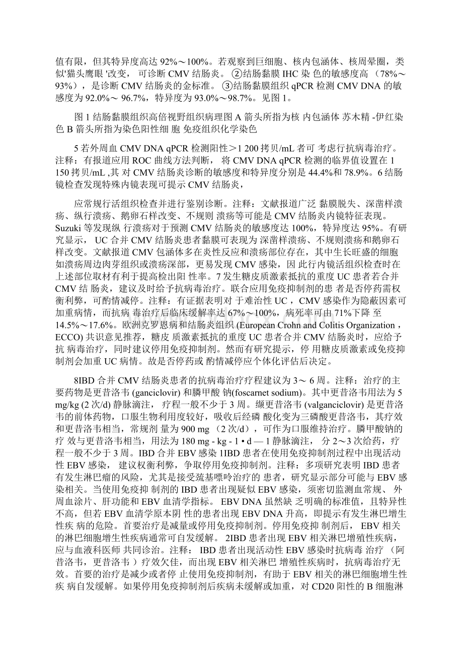 炎症性肠病合并机会性感染专家共识意见Word下载.docx_第2页