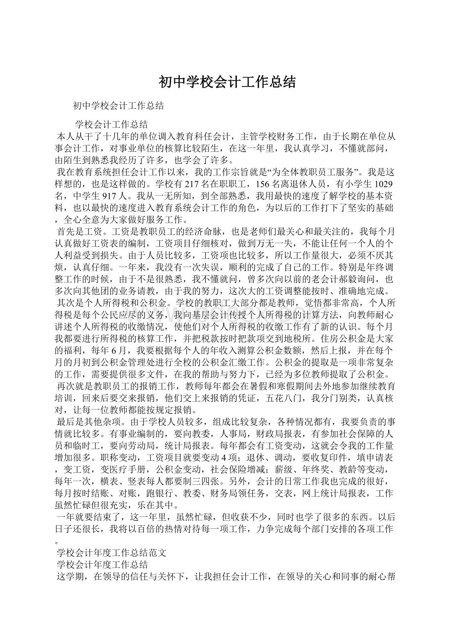 初中学校会计工作总结文档格式.docx