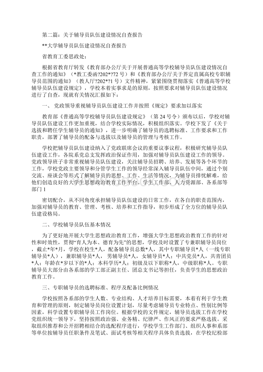 执法队伍建设情况自查报告.docx_第2页