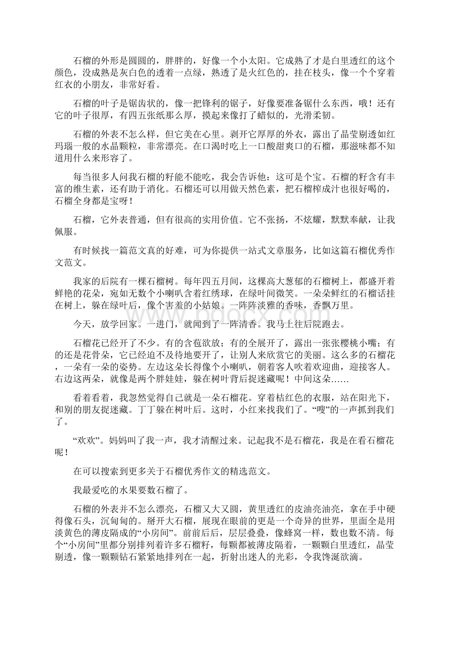 石榴优秀作文整理11篇文档格式.docx_第2页