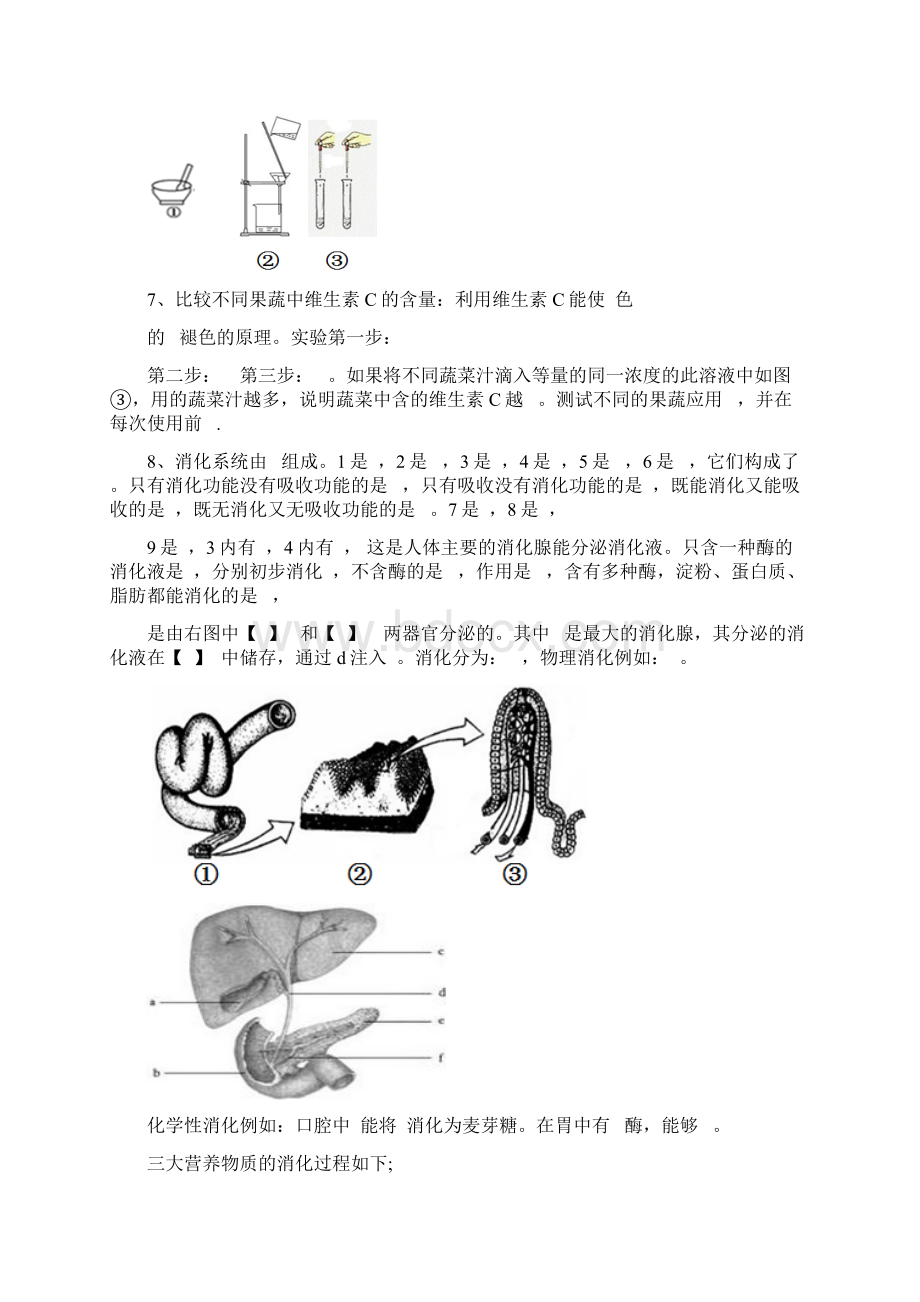 济南版生物七年级下册8K模版提纲含答案Word格式.docx_第2页