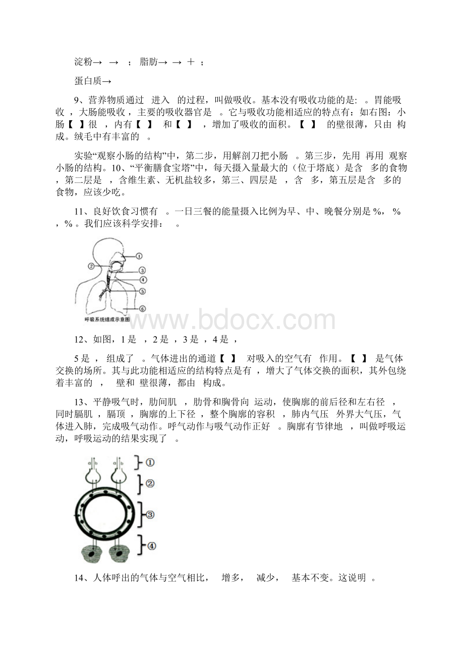 济南版生物七年级下册8K模版提纲含答案Word格式.docx_第3页