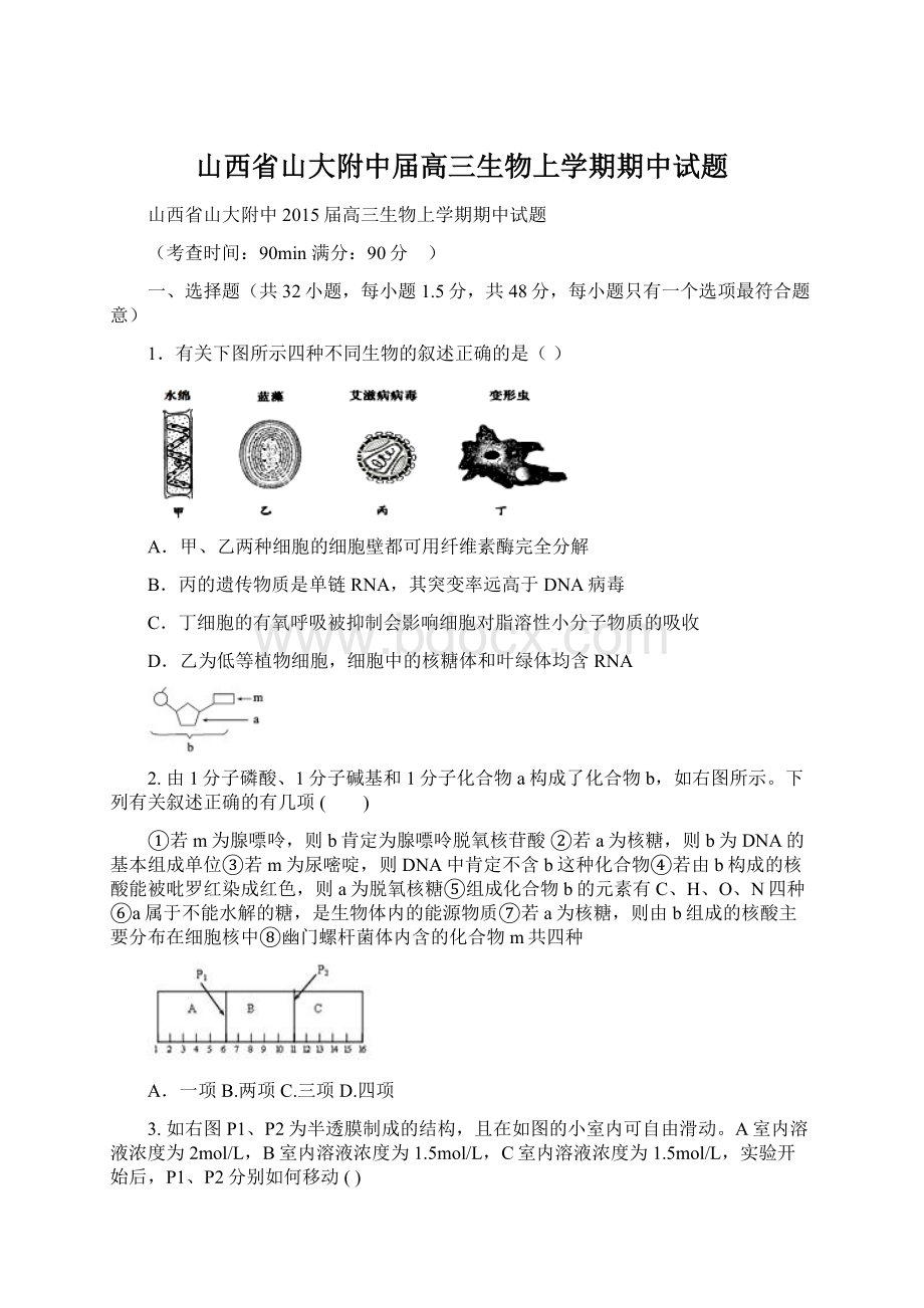 山西省山大附中届高三生物上学期期中试题.docx_第1页