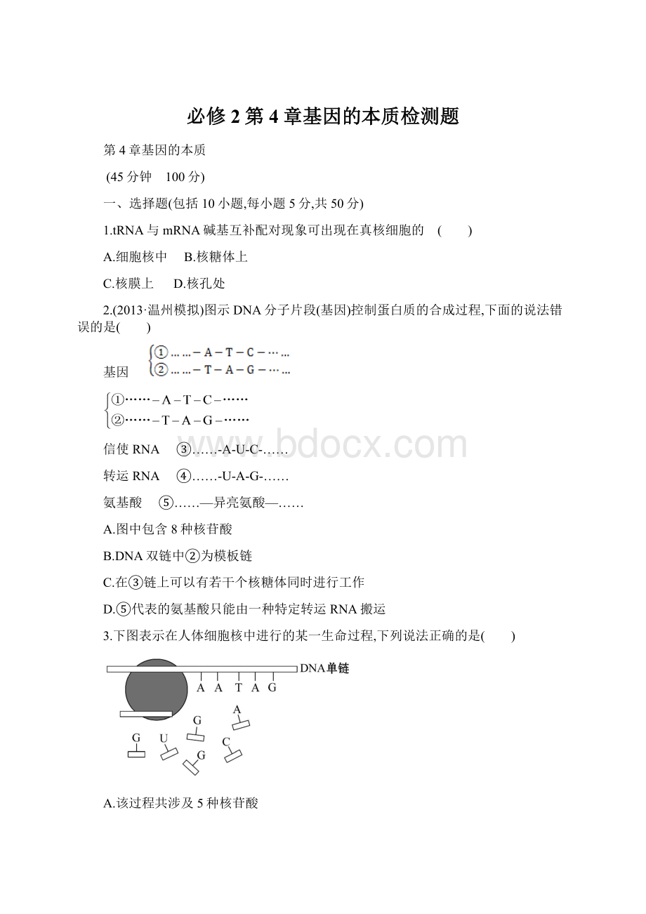 必修2第4章基因的本质检测题.docx_第1页