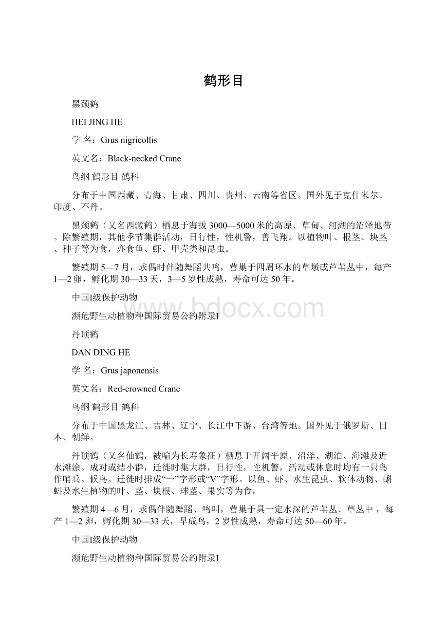 鹤形目文档格式.docx_第1页