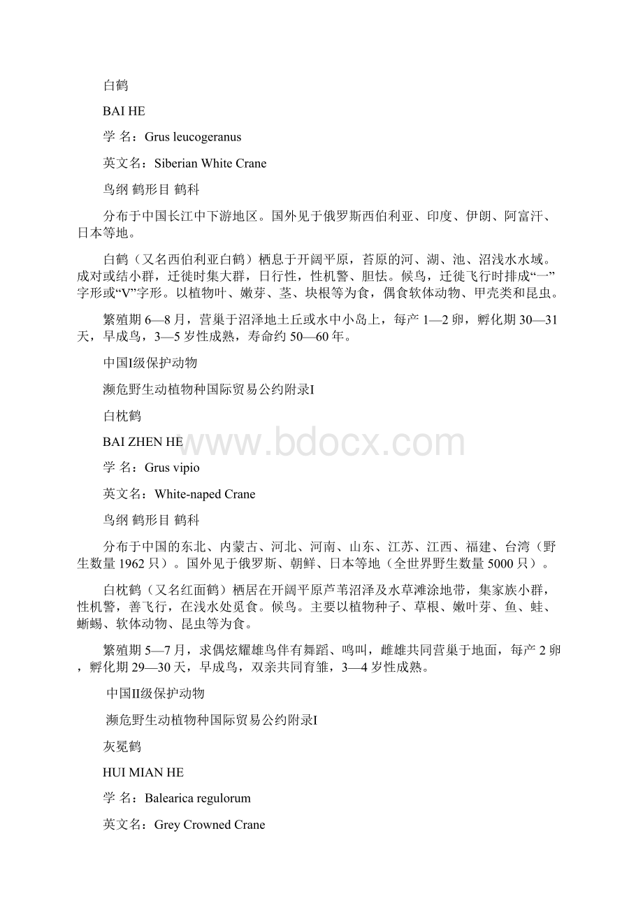 鹤形目文档格式.docx_第2页