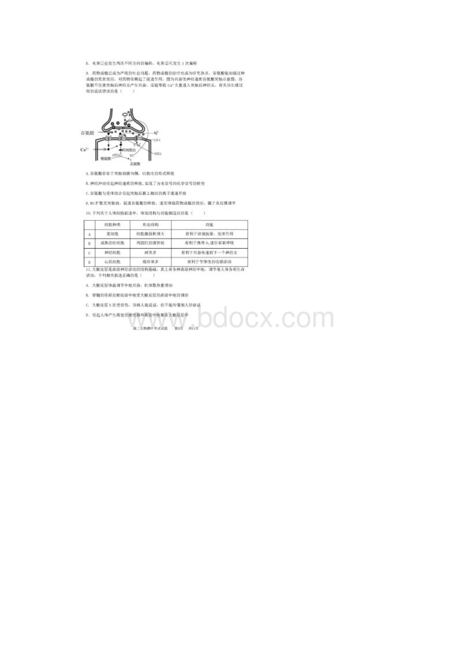 安徽省合肥市第一六八中学学年高二生物上学期期中试题宏志班扫描版.docx_第3页