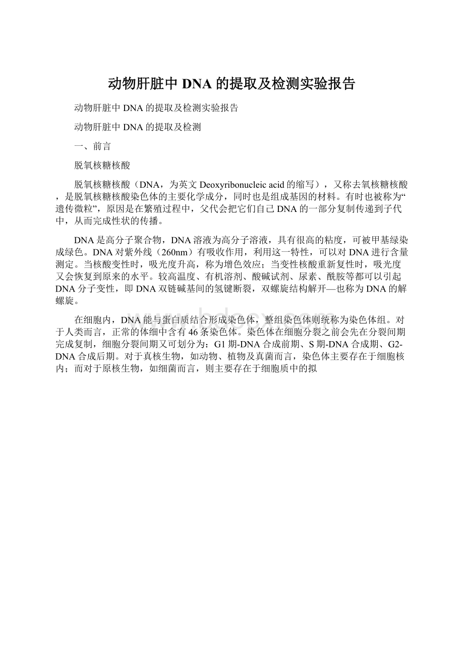 动物肝脏中DNA的提取及检测实验报告文档格式.docx