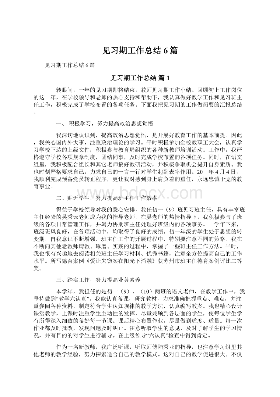 见习期工作总结6篇.docx