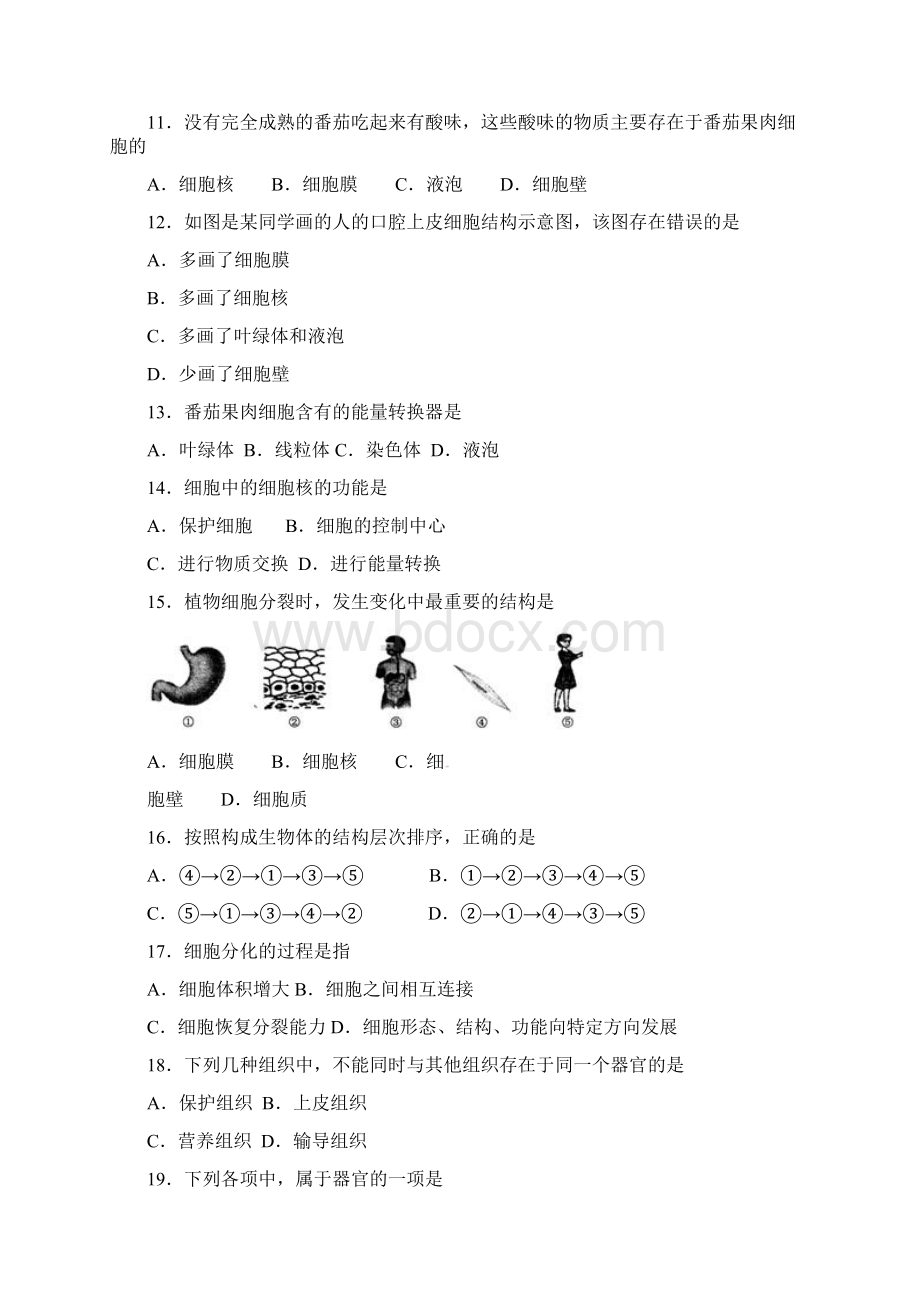 新疆乌鲁木齐市学年七年级生物上学期期末考试试题 新人教版.docx_第3页