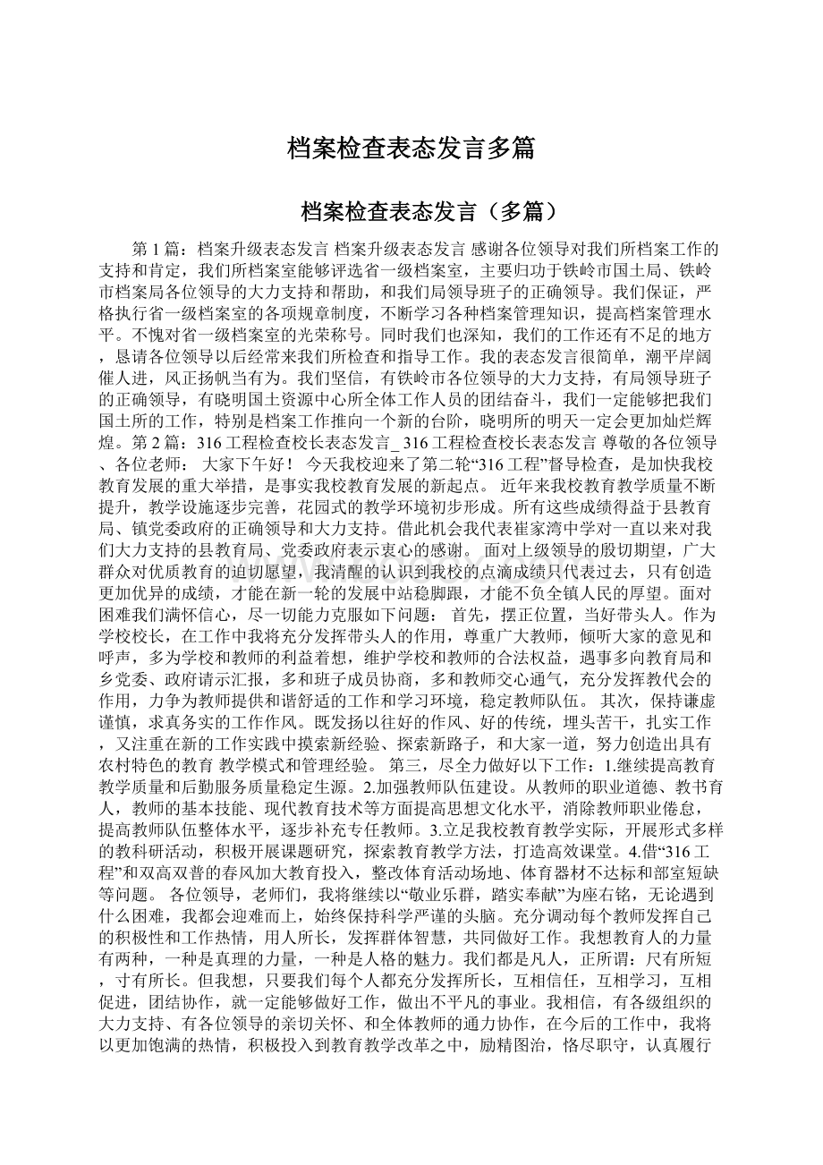 档案检查表态发言多篇.docx