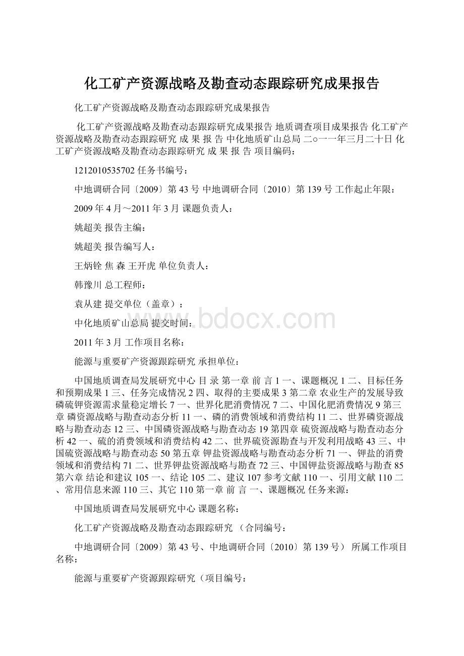 化工矿产资源战略及勘查动态跟踪研究成果报告.docx_第1页