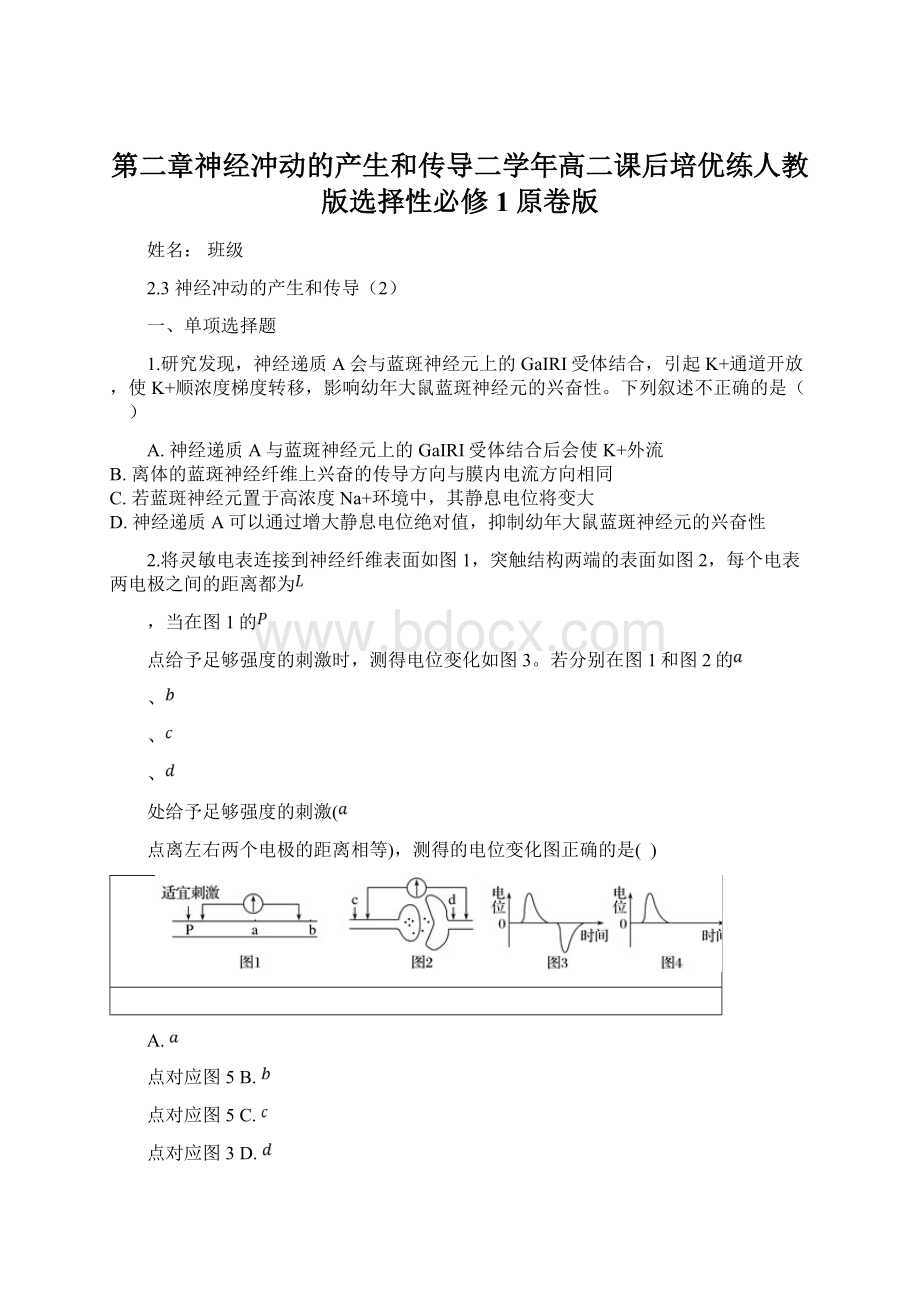 第二章神经冲动的产生和传导二学年高二课后培优练人教版选择性必修1原卷版.docx_第1页