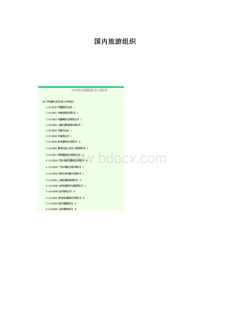 国内旅游组织Word文档格式.docx_第1页