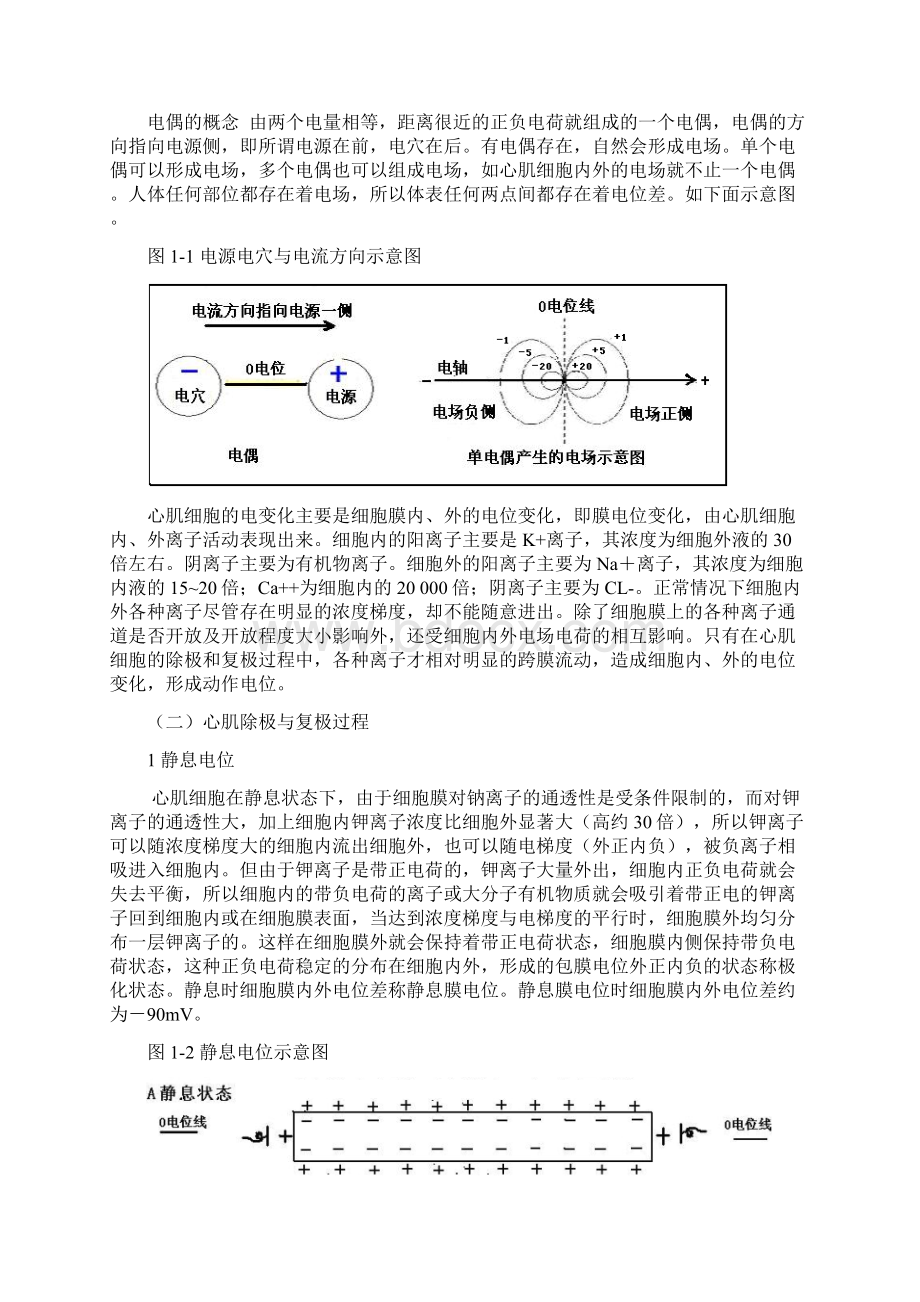 心电图学课件1关于电生理知识与心电图.docx_第2页