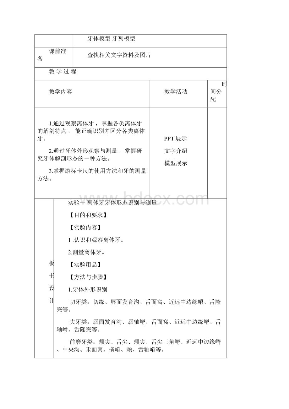 牙体形态雕刻技术标准教案Word格式.docx_第3页