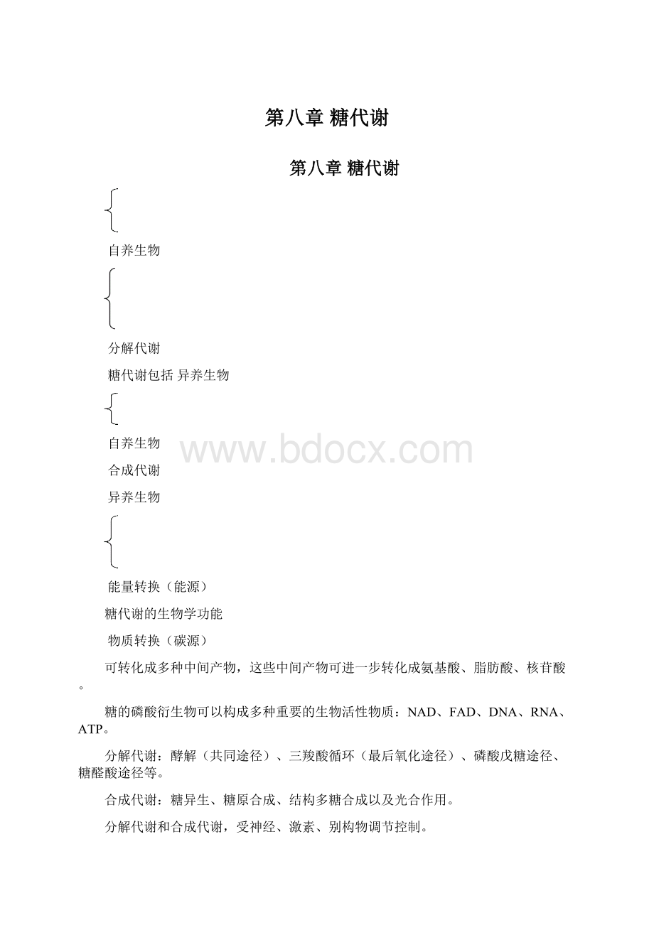 第八章 糖代谢.docx_第1页