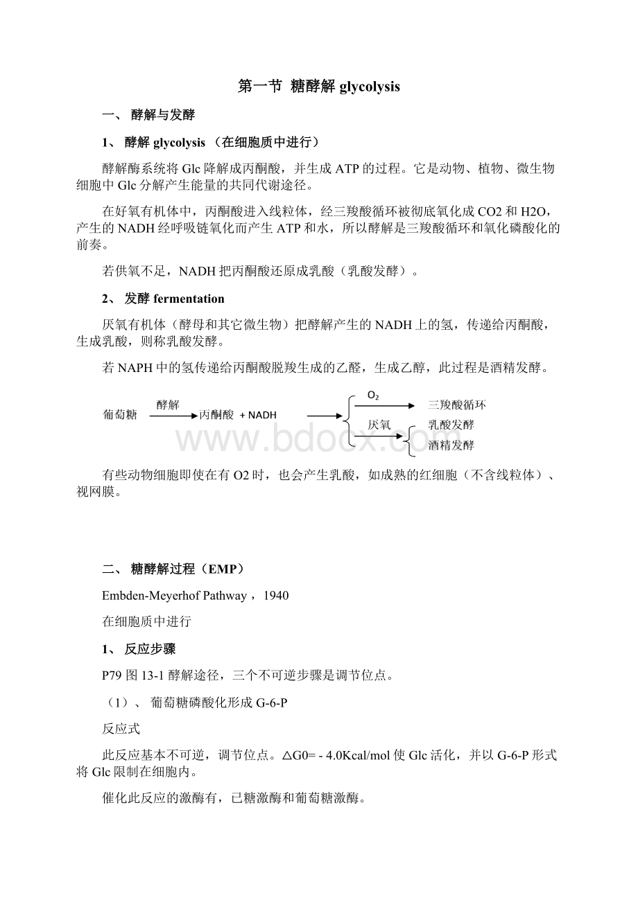 第八章 糖代谢Word文档下载推荐.docx_第2页