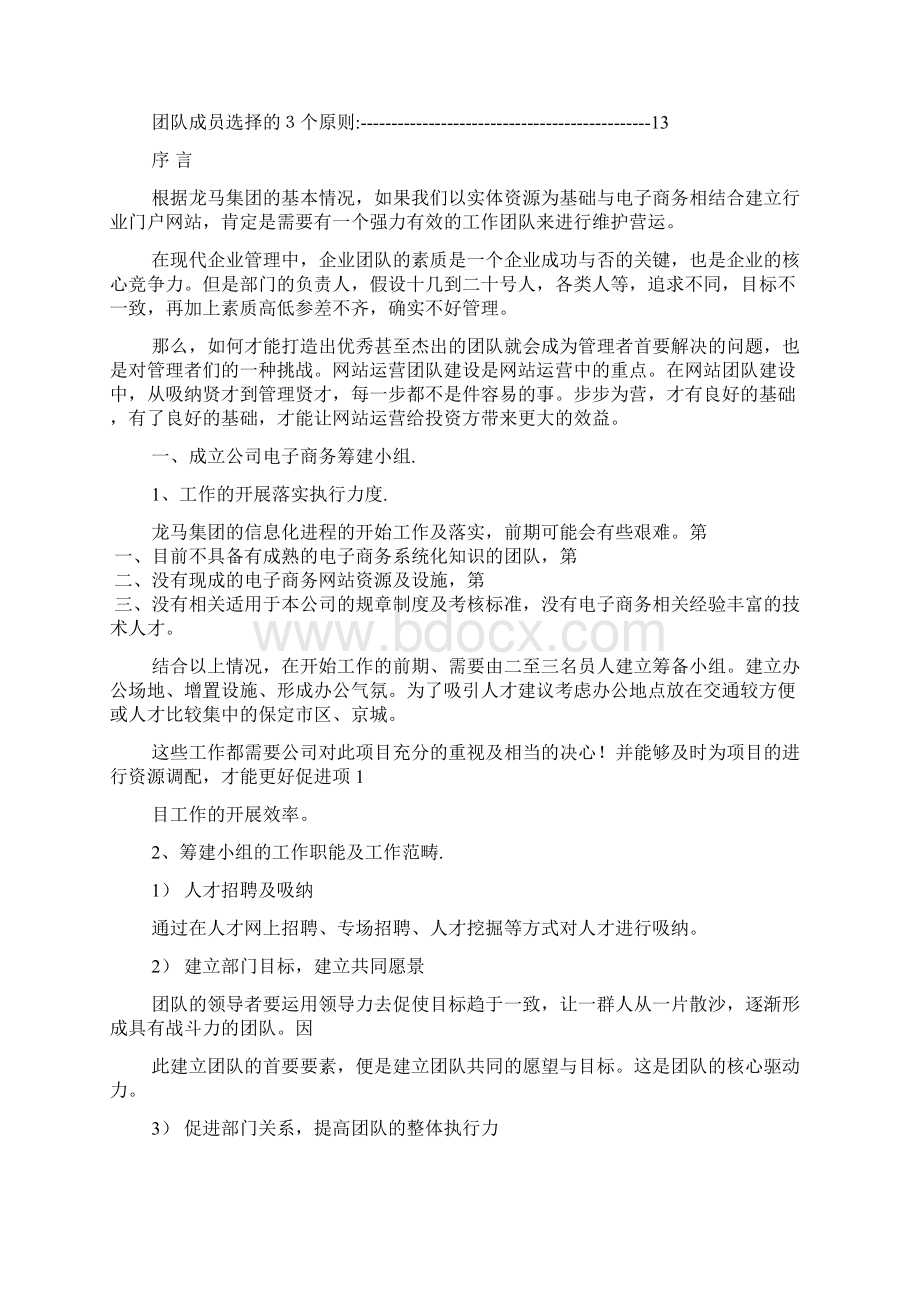 商务团队建设方案Word格式.docx_第2页