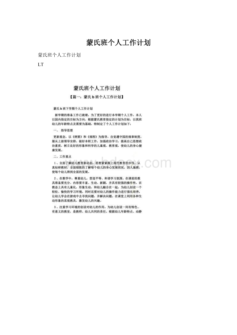 蒙氏班个人工作计划.docx