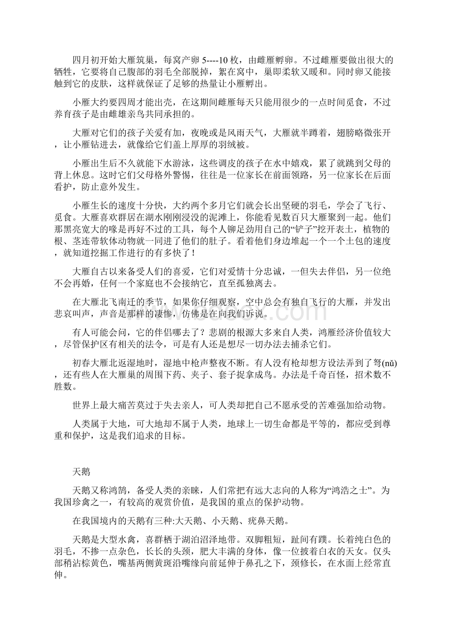 湿地鸟教学Word文档下载推荐.docx_第3页