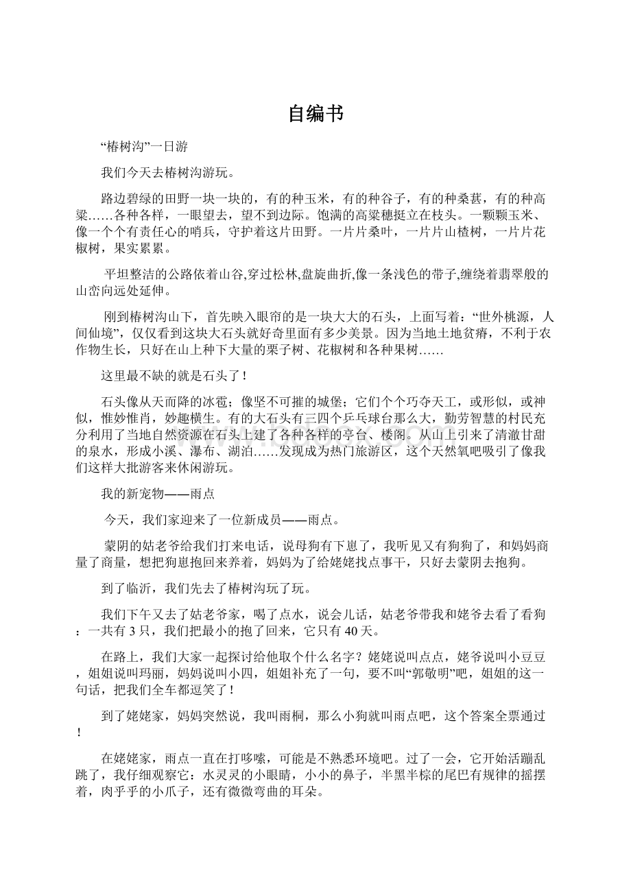 自编书Word文档下载推荐.docx