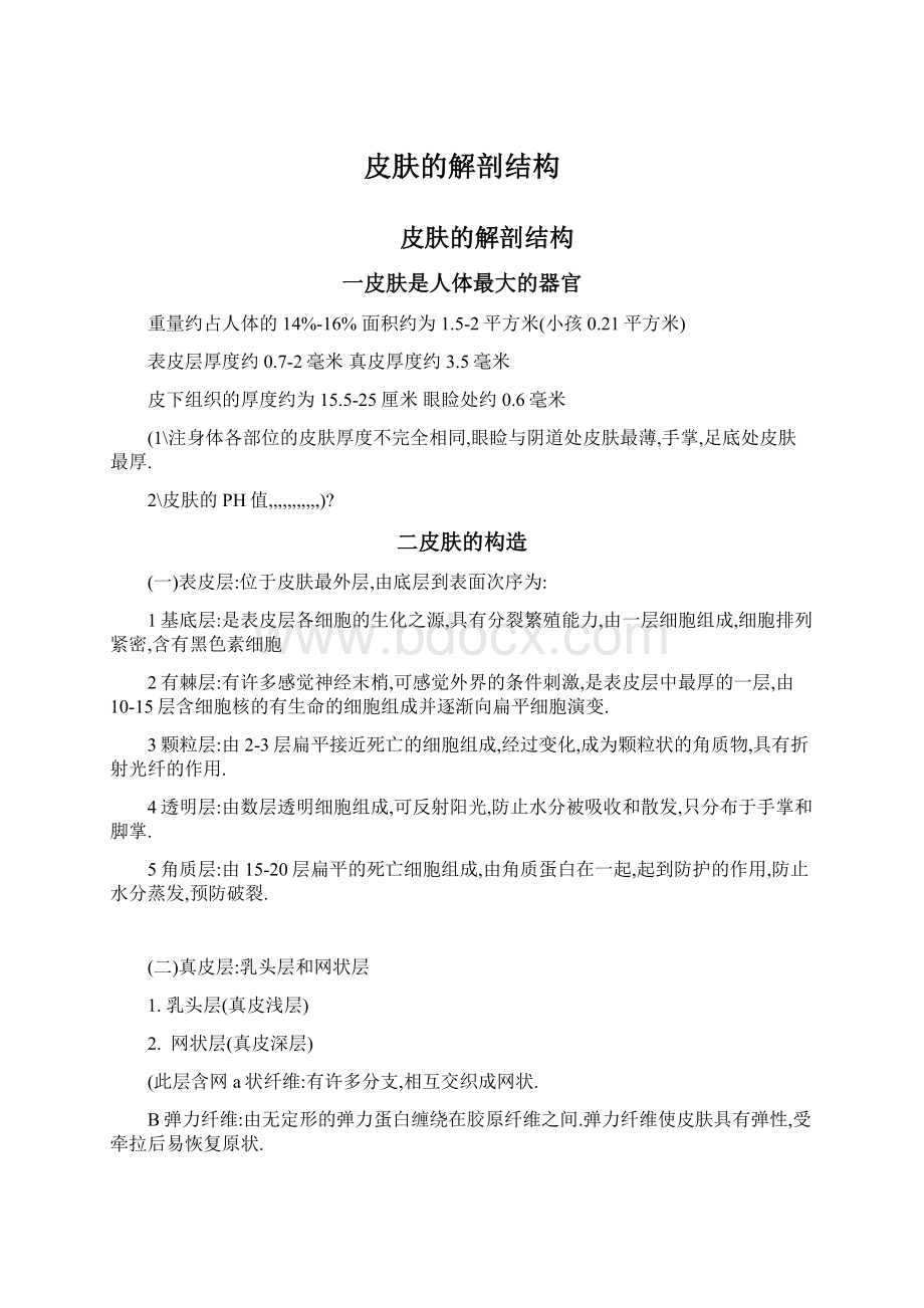 皮肤的解剖结构Word格式文档下载.docx_第1页