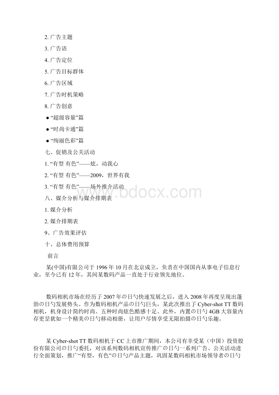 XX品牌TT数码相机CC市场推广营销策划方案.docx_第2页