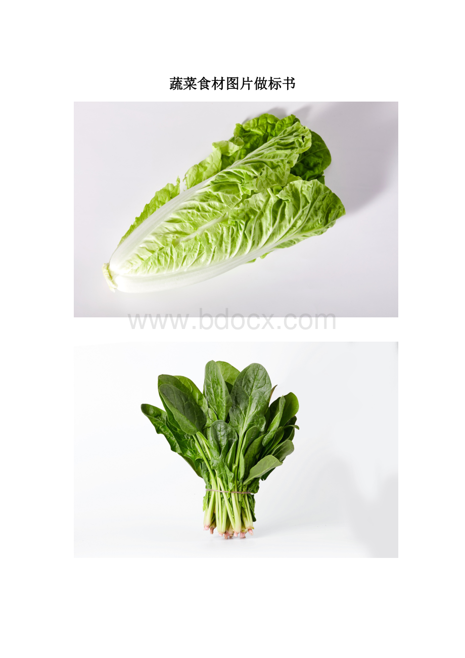 蔬菜食材图片做标书.docx