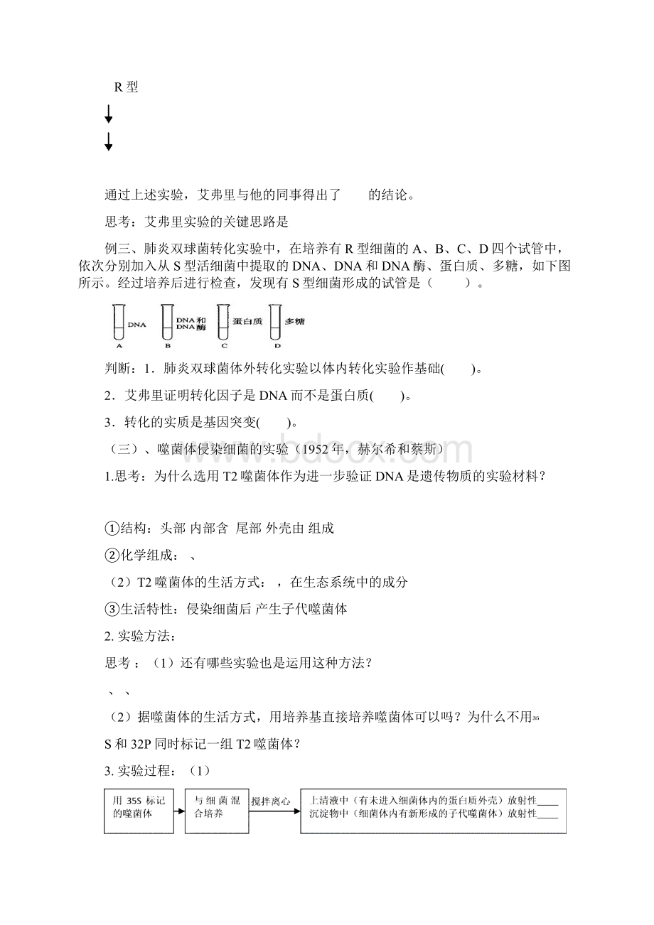 DNA是主要的遗传物质学案.docx_第3页