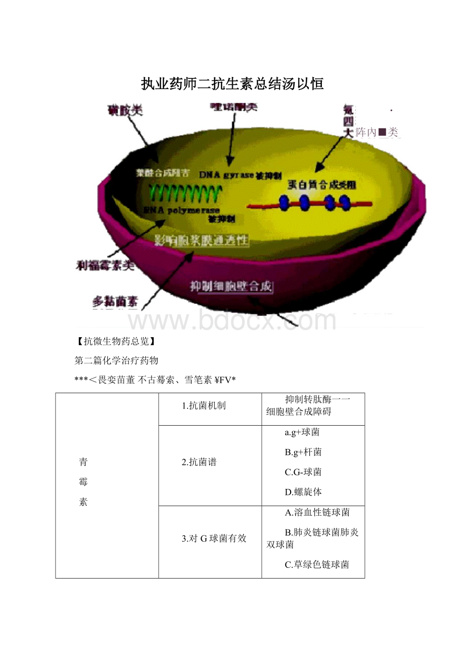 执业药师二抗生素总结汤以恒Word格式.docx