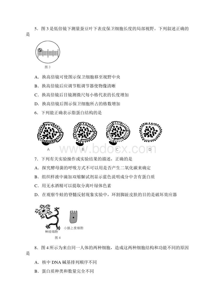 上海市黄浦区高二高三第一学期期末一模学科质量检测生物试题逐题详解版.docx_第2页