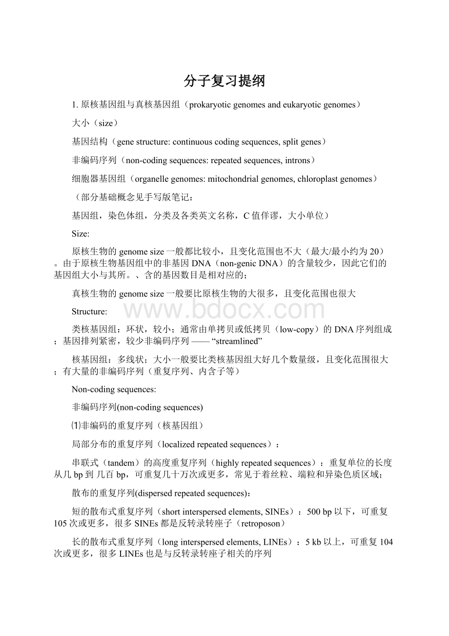 分子复习提纲.docx