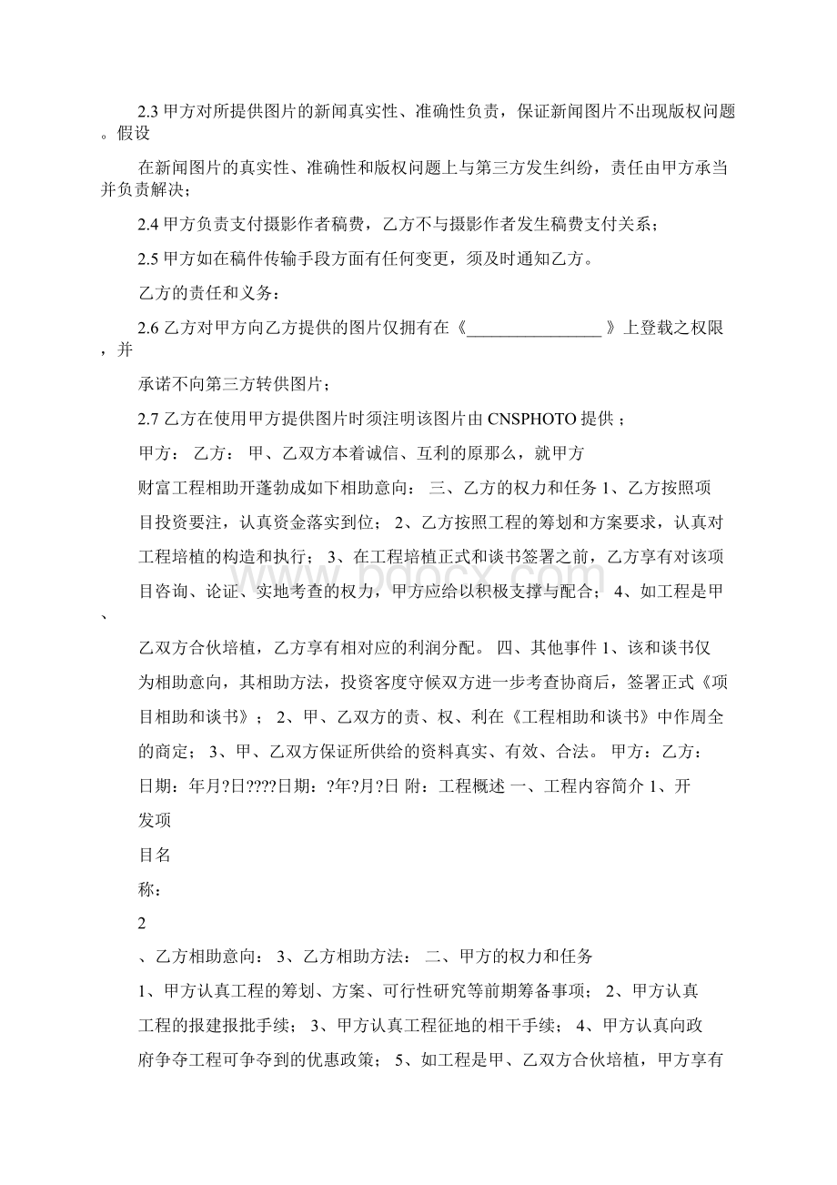 合作方案格式模板Word文档格式.docx_第3页