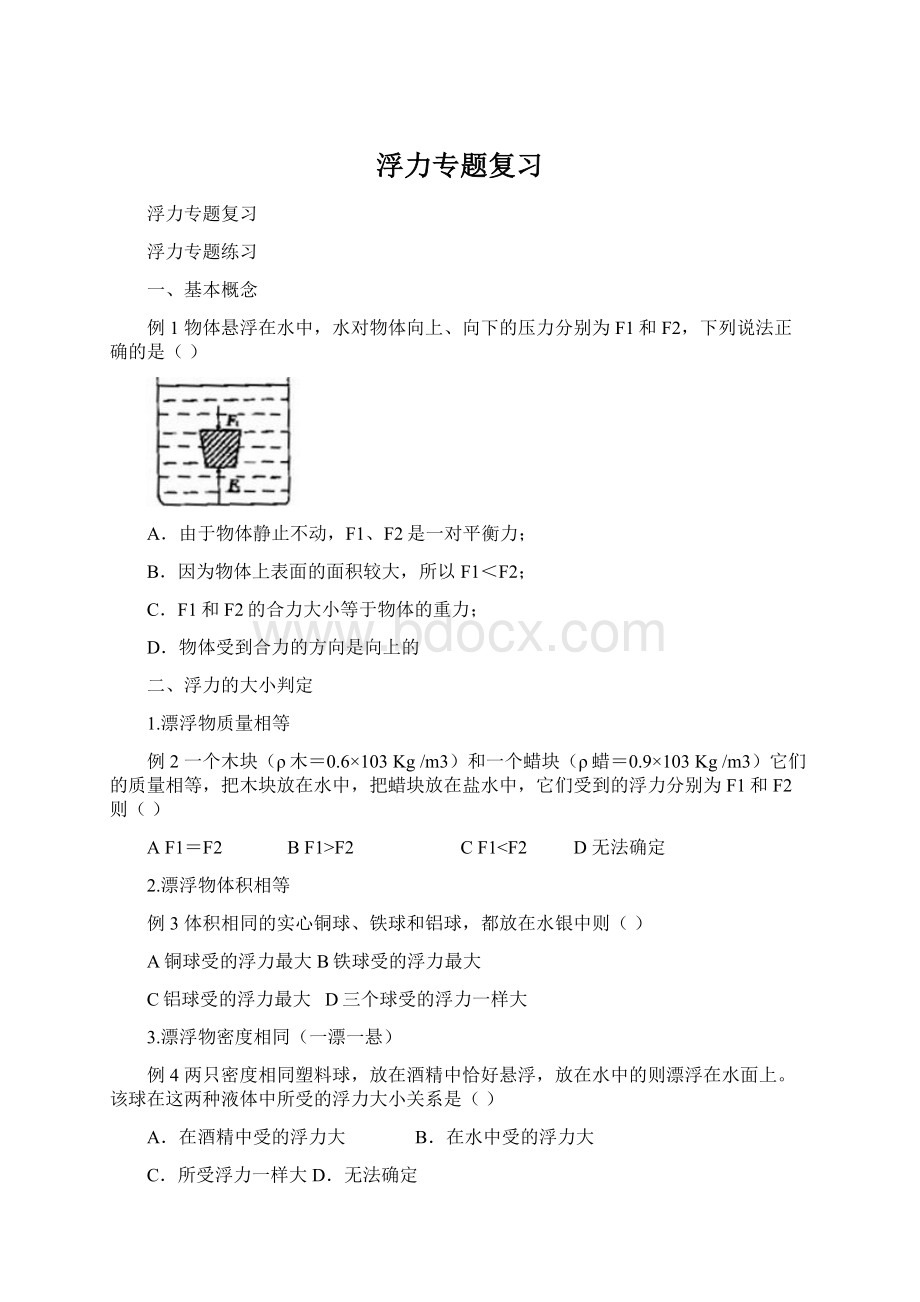 浮力专题复习Word文档下载推荐.docx