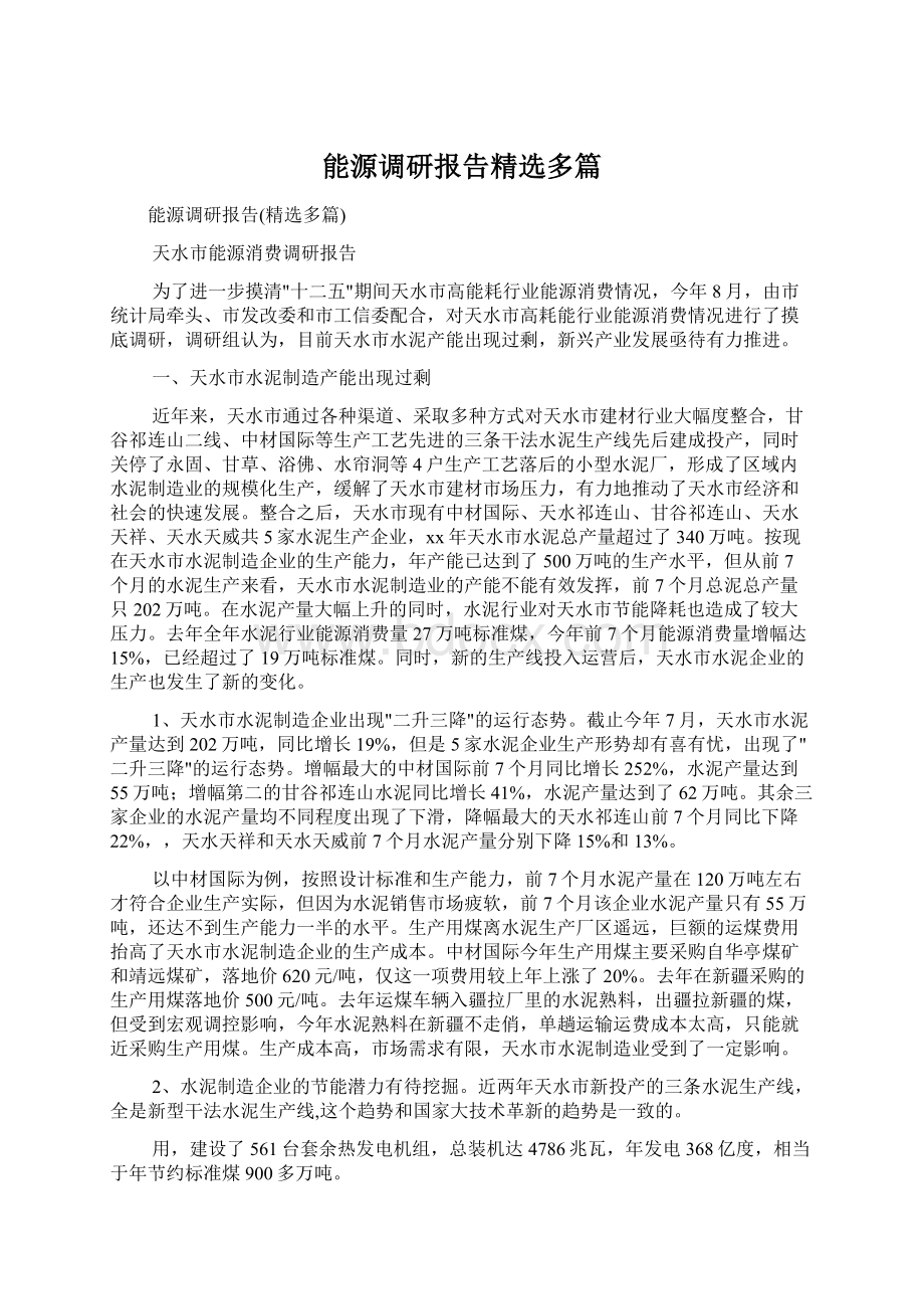 能源调研报告精选多篇文档格式.docx