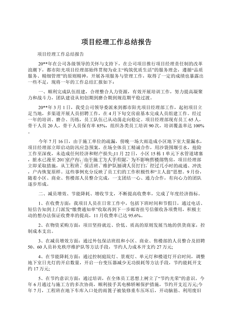 项目经理工作总结报告.docx_第1页