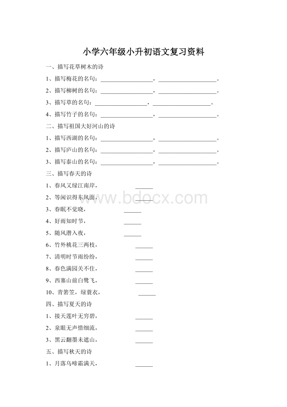 小学六年级小升初语文复习资料.docx