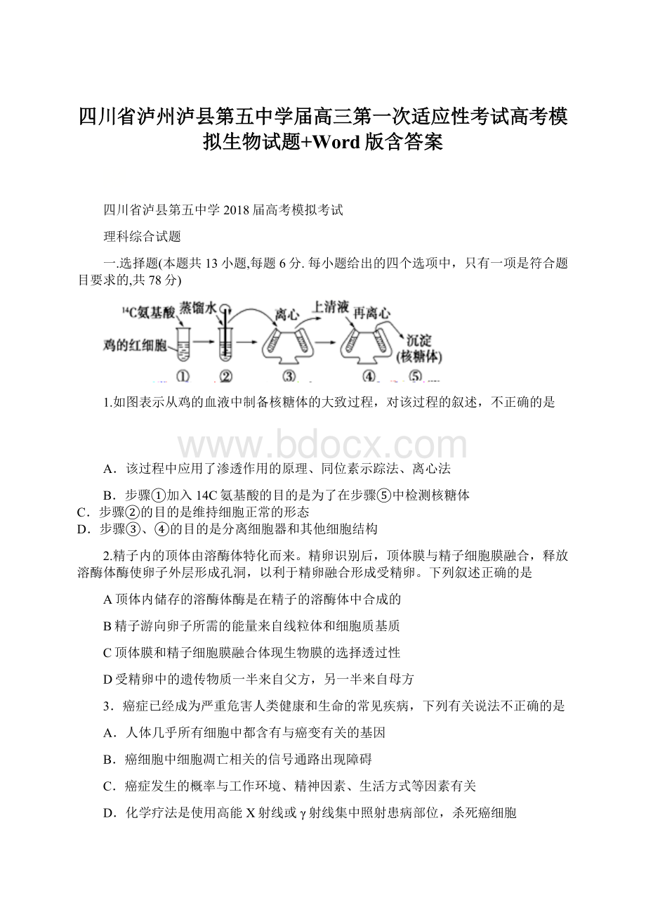 四川省泸州泸县第五中学届高三第一次适应性考试高考模拟生物试题+Word版含答案Word格式.docx