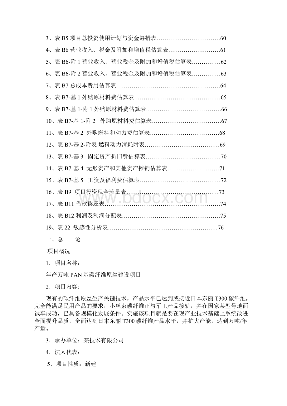 PAN基碳纤维原丝建设项目Word格式文档下载.docx_第2页